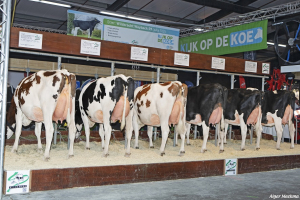 Wayback Rf dochters schitteren in Hardenberg!