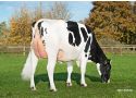Moeder Storm PP: Poppe Shania